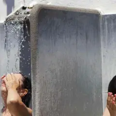 Docce alle terme di Nitrodi a Ischia. Scopri come arrivare per goderti le acque benefiche.