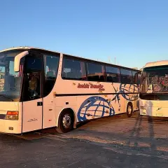 Due bus Ischia Transfer pronti per il servizio. Uno bianco con decorazioni blu, l'altro bianco.