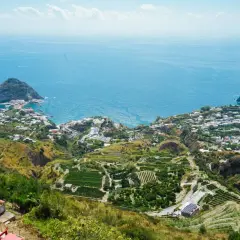 Panoramica mozzafiato di Ischia, con terrazzamenti verdi e il mare blu. Si intravede una casa museo, immersa in questo paesaggio incantevole.