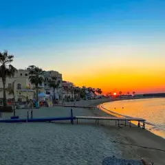 Tramonto dorato sul lungomare di Forio, Ischia. Palme, edifici storici e barche nel porto creano uno scenario incantevole.