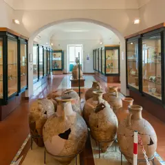 Ampi vasi antichi e reperti archeologici esposti nelle vetrine del museo archeologico di Pithecusae.