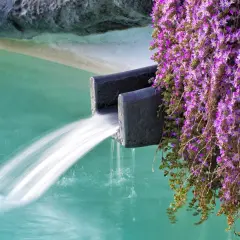 Acqua termale sgorga da una cascata in un'oasi di fiori viola. Le terme a Ischia in inverno offrono un rifugio rigenerante.