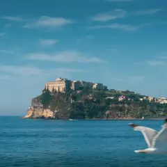 Un gabbiano vola sul mare blu davanti a Ischia. Un borgo colorato si estende sulla collina verde, dominato da un imponente castello.
