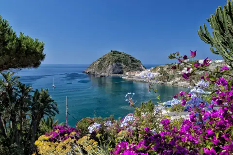 Vista mozzafiato di un golfo con un isolotto, case bianche e fiori colorati. Un assaggio di cosa vedere a Ischia.