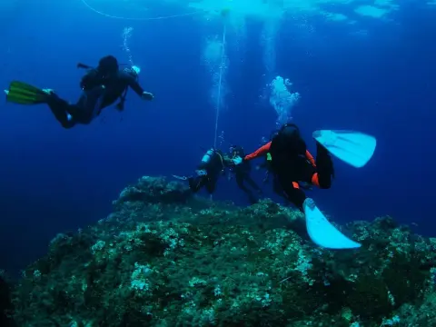 Diving Ischia - Guida completa per immersioni indimenticabili