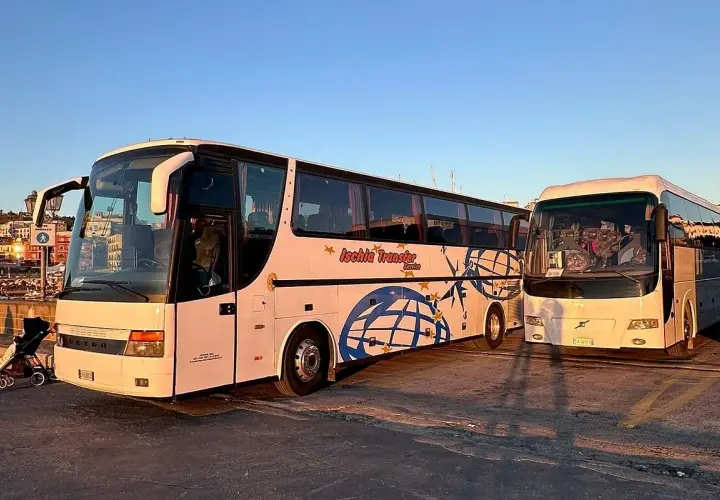 Due bus Ischia Transfer pronti per il servizio. Uno bianco con decorazioni blu, l'altro bianco.
