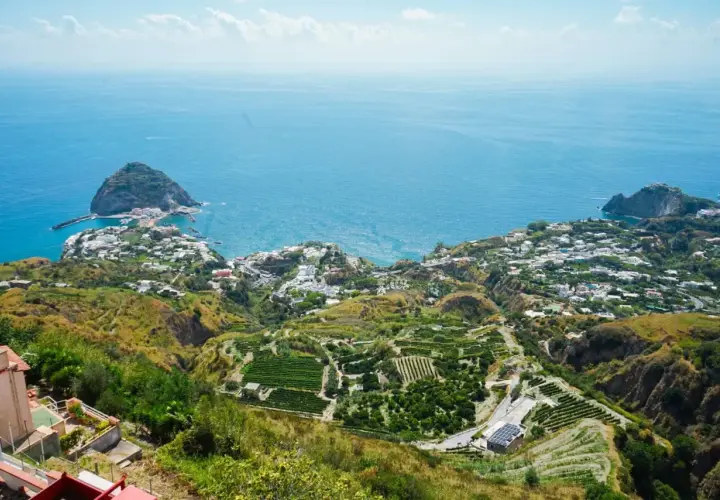 Panoramica mozzafiato di Ischia, con terrazzamenti verdi e il mare blu. Si intravede una casa museo, immersa in questo paesaggio incantevole.