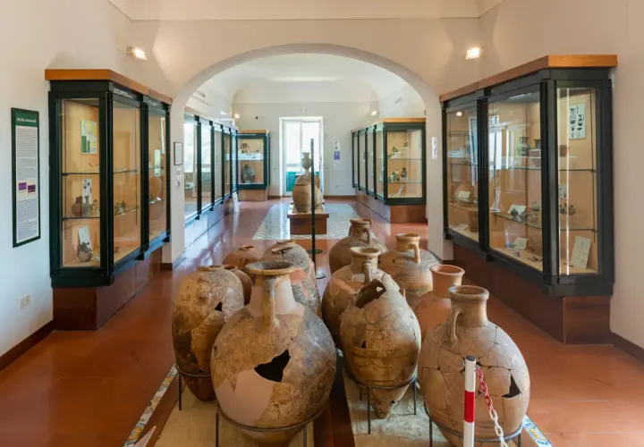 Ampi vasi antichi e reperti archeologici esposti nelle vetrine del museo archeologico di Pithecusae.