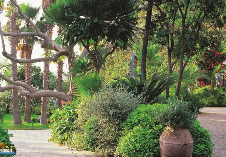Giardino lussureggiante vicino alla baia di San Montano. Informazioni su spiaggia e prezzi.