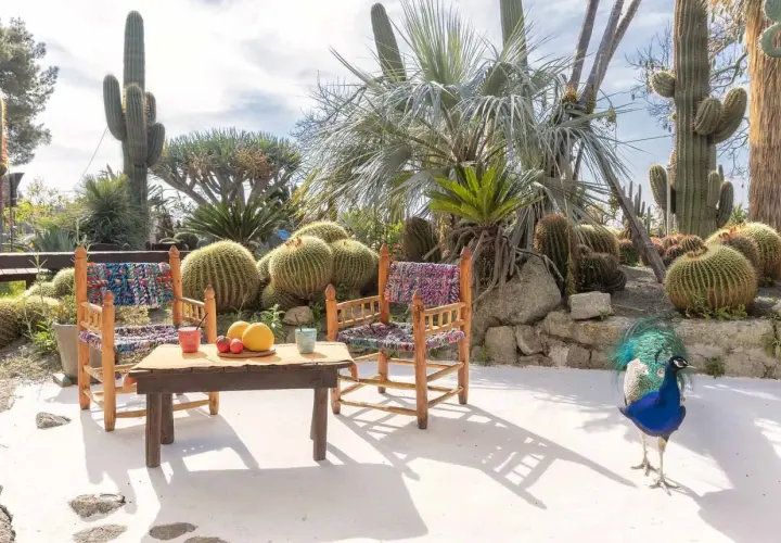 Giardini Ravino: come arrivare in questo paradiso di cactus e pavoni. Un angolo di relax con tavolino e sedie colorate.