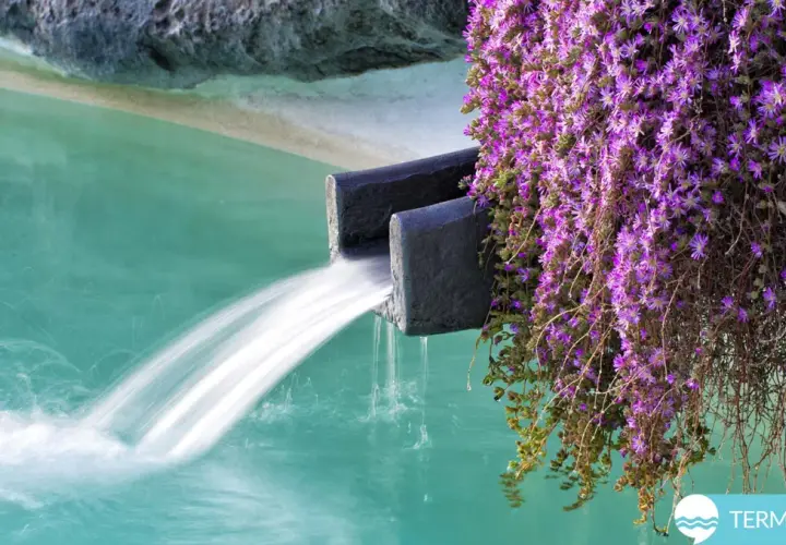 Acqua termale sgorga da una cascata in un'oasi di fiori viola. Le terme a Ischia in inverno offrono un rifugio rigenerante.