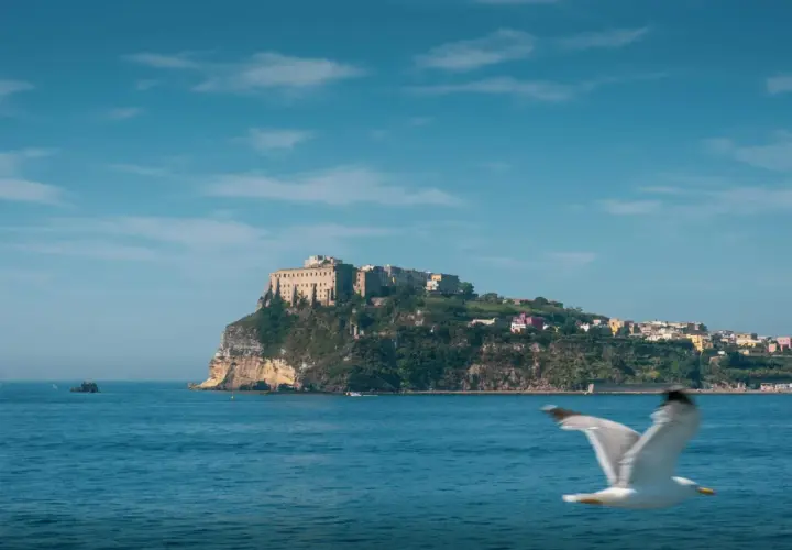 Un gabbiano vola sul mare blu davanti a Ischia. Un borgo colorato si estende sulla collina verde, dominato da un imponente castello.