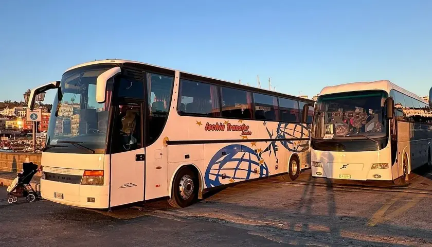 Due bus Ischia Transfer pronti per il servizio. Uno bianco con decorazioni blu, l'altro bianco.
