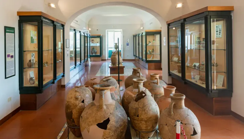 Ampi vasi antichi e reperti archeologici esposti nelle vetrine del museo archeologico di Pithecusae.