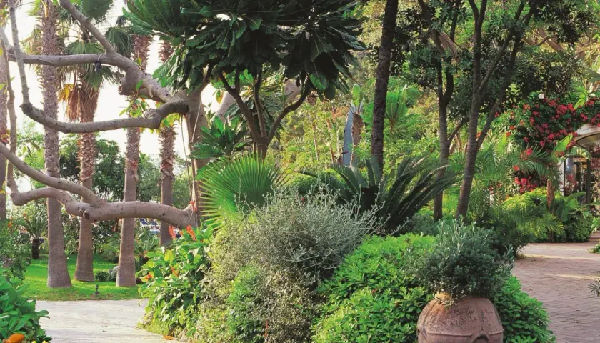 Giardino lussureggiante vicino alla baia di San Montano. Informazioni su spiaggia e prezzi.