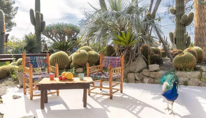 Giardini Ravino: come arrivare in questo paradiso di cactus e pavoni. Un angolo di relax con tavolino e sedie colorate.