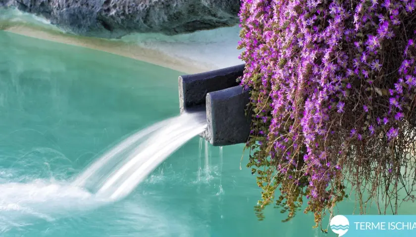 Acqua termale sgorga da una cascata in un'oasi di fiori viola. Le terme a Ischia in inverno offrono un rifugio rigenerante.