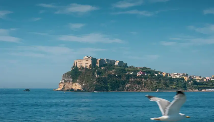 Un gabbiano vola sul mare blu davanti a Ischia. Un borgo colorato si estende sulla collina verde, dominato da un imponente castello.