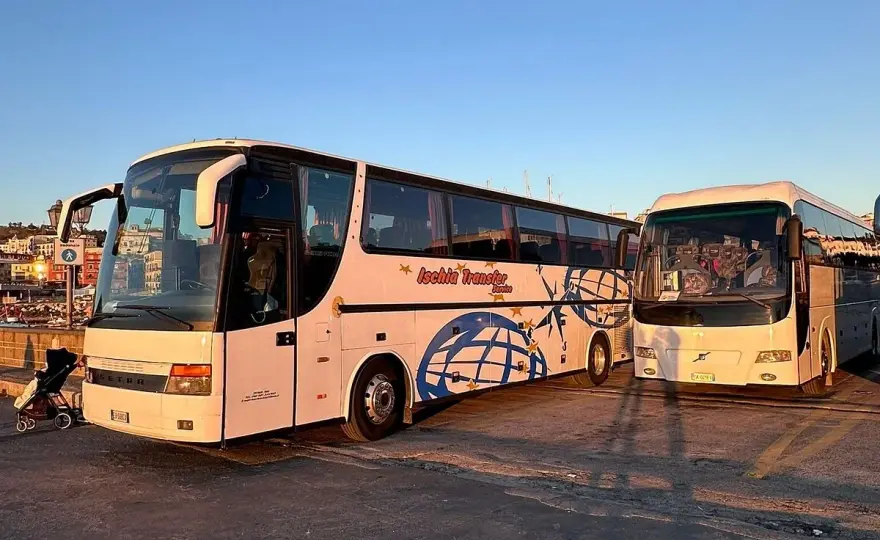 Bus Ischia - Guida completa per muoversi senza stress