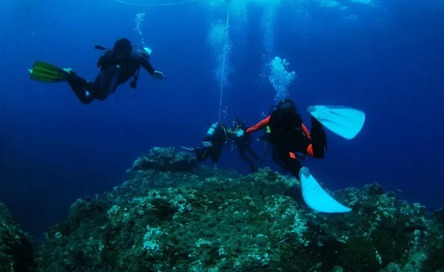 Diving Ischia - Guida completa per immersioni indimenticabili