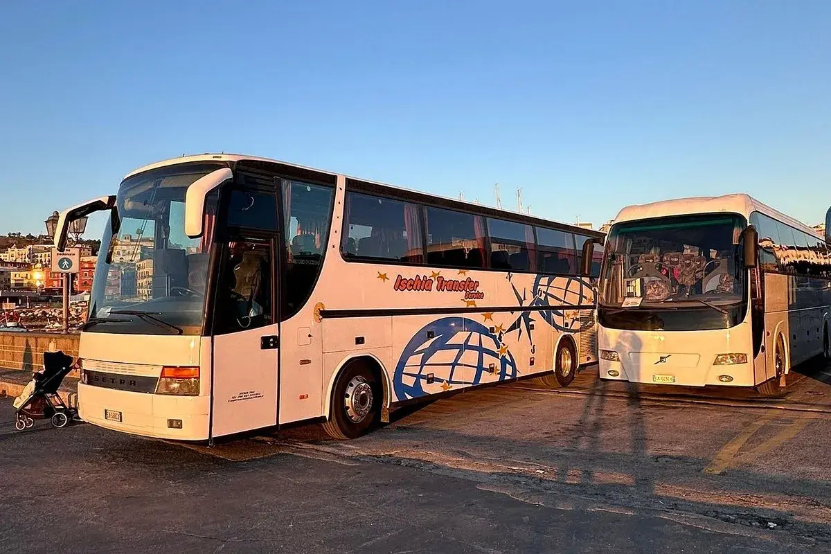 Due bus Ischia Transfer pronti per il servizio. Uno bianco con decorazioni blu, l'altro bianco.