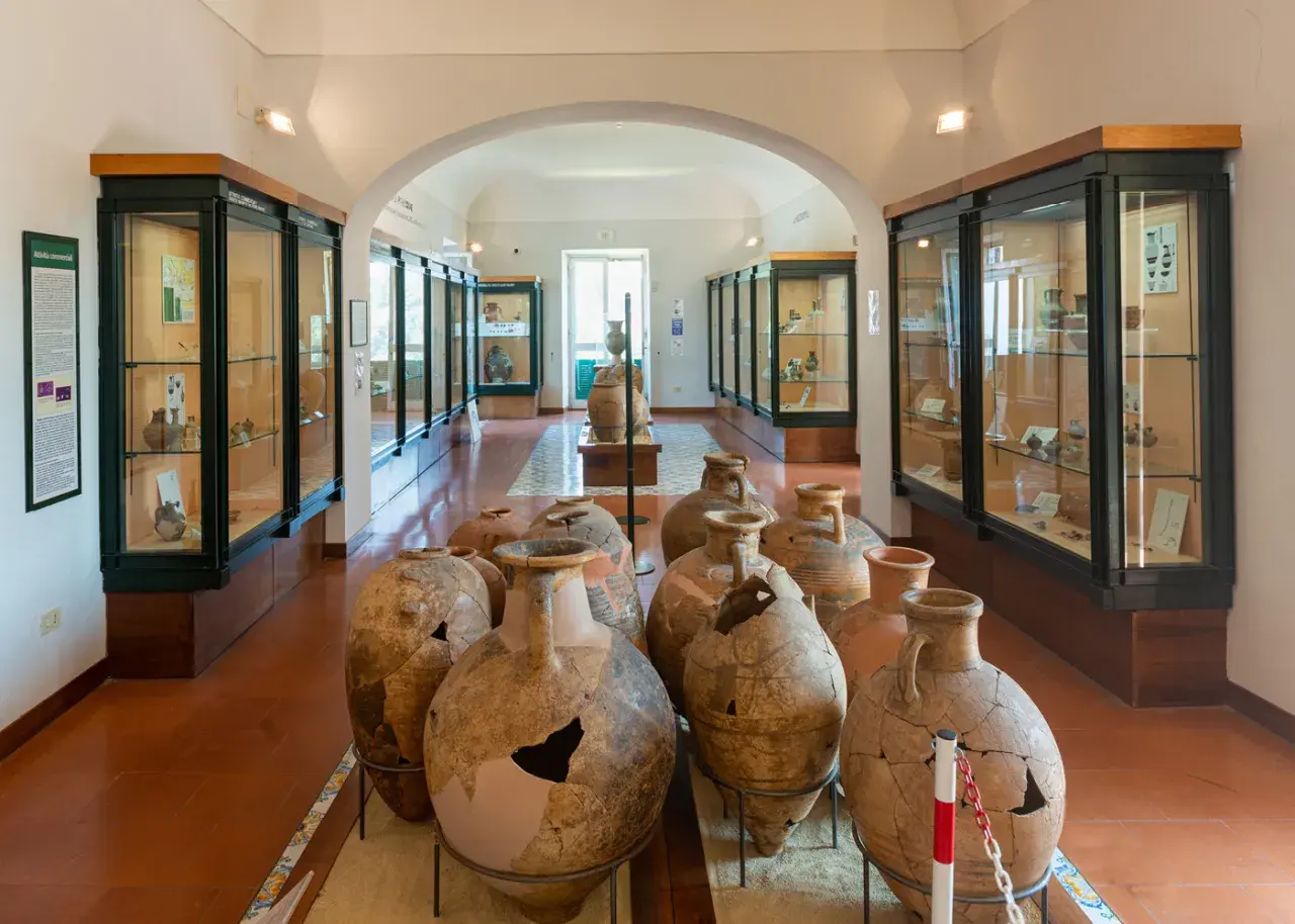 Ampi vasi antichi e reperti archeologici esposti nelle vetrine del museo archeologico di Pithecusae.