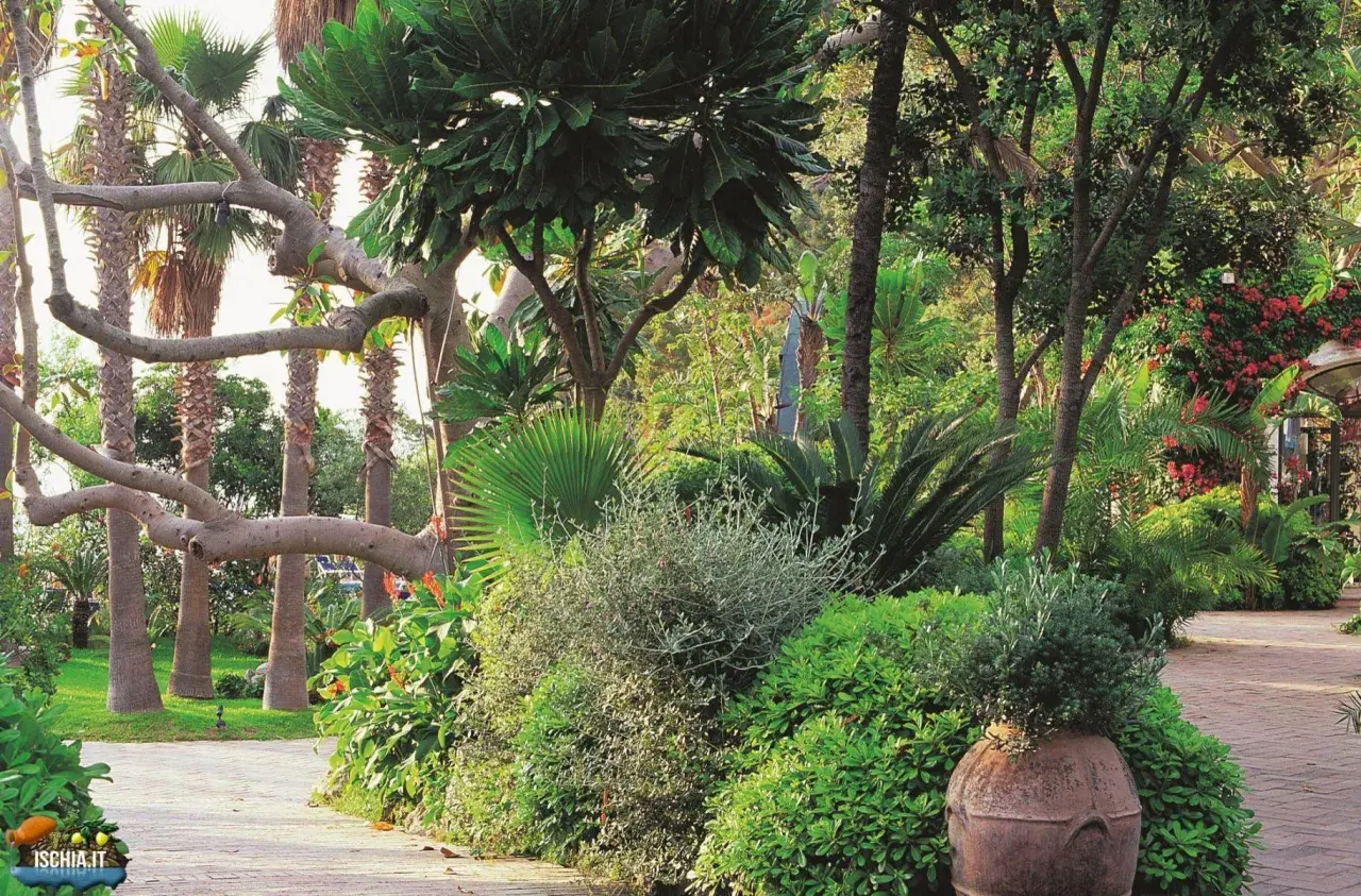 Giardino lussureggiante vicino alla baia di San Montano. Informazioni su spiaggia e prezzi.