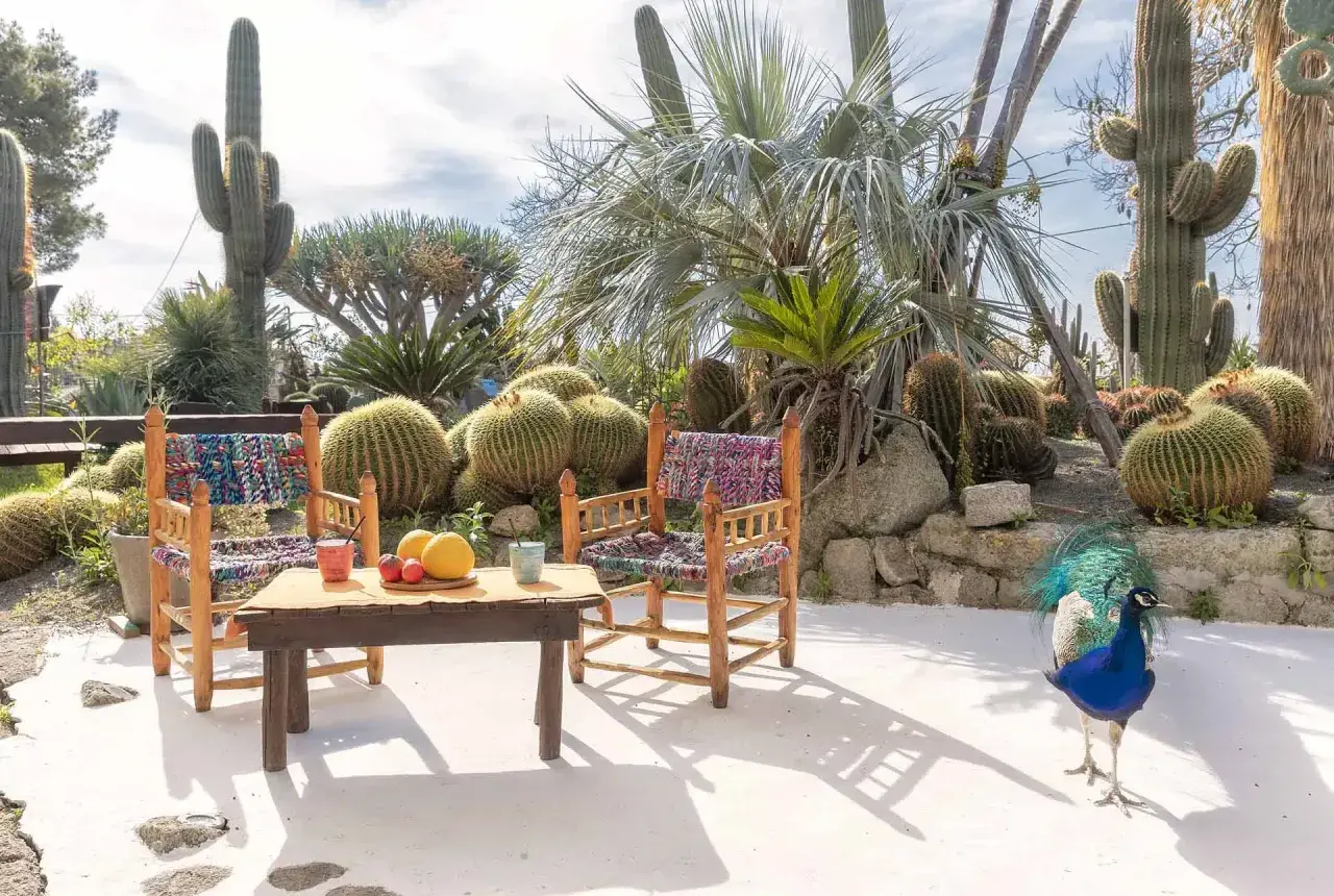 Giardini Ravino: come arrivare in questo paradiso di cactus e pavoni. Un angolo di relax con tavolino e sedie colorate.
