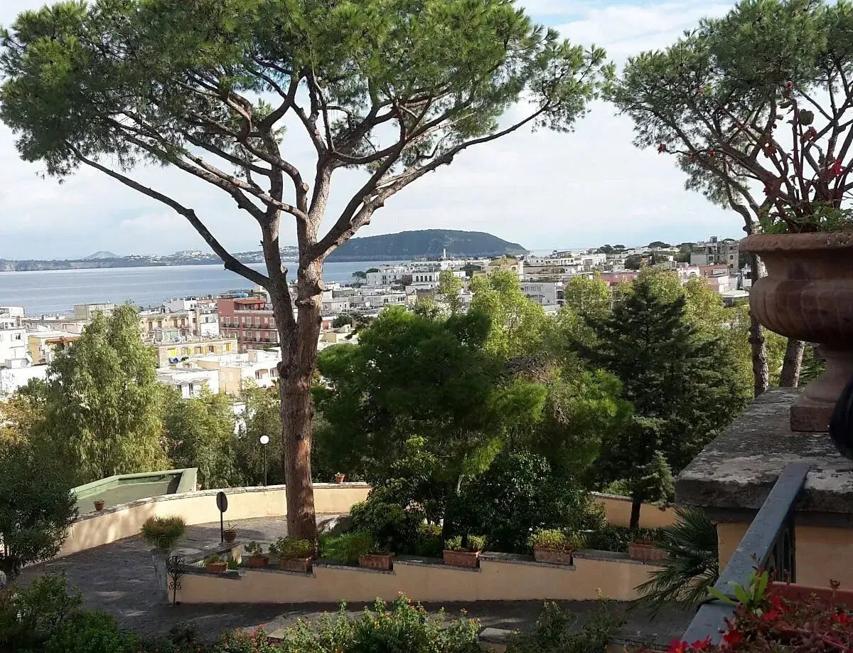 Vista panoramica di Ischia con il mare sullo sfondo, alberi rigogliosi e un accenno al palazzo reale.