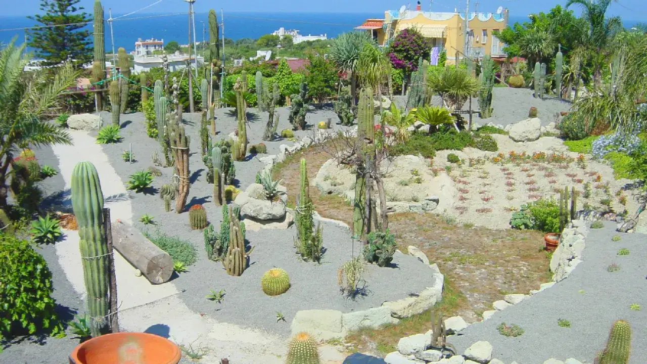 Giardini Ravino: un'oasi di cactus e succulente con vista mare. Scopri come arrivare in questo paradiso botanico.